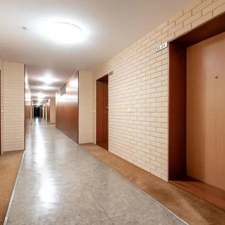 Viva Stadium פורטו