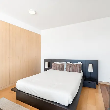 Viva Stadium * 波尔图