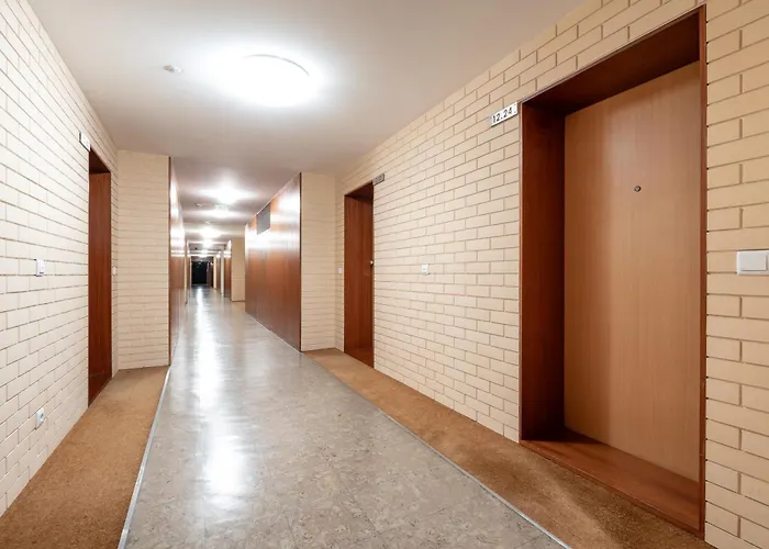 Viva Stadium Порту